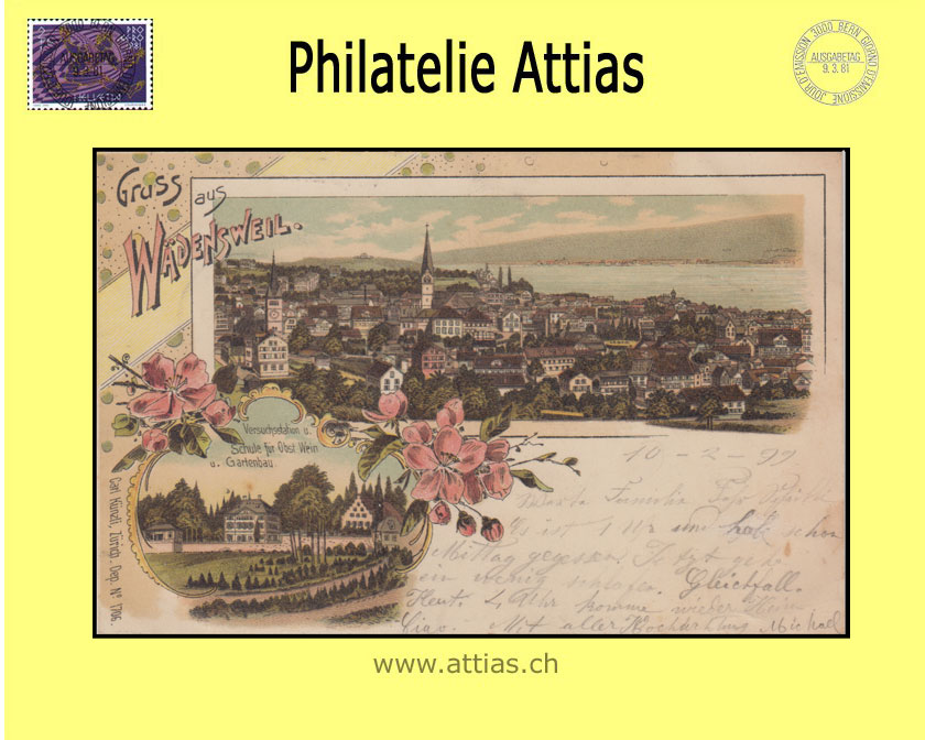 AK Wädenswil ZH Farb-Litho Gruss aus mit 2 Bildern (1899)