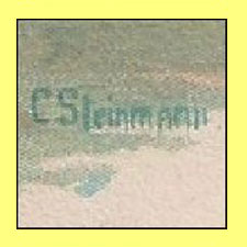 Steinmann C. litho